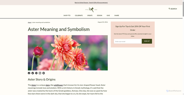 Security scan screenshot of https://www.ftd.com/blog/aster-meaning-and-symbolism