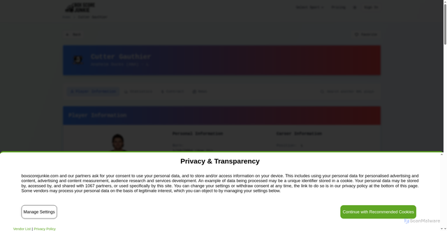 Security scan screenshot of https://boxscorejunkie.com/player/nhl/8483445