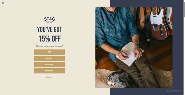 Security scan screenshot of https://stagprovisions.com