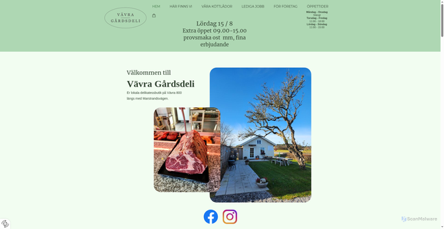 Security scan screenshot of https://vavragardsdeli.se
