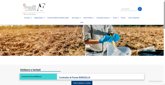 Security scan screenshot of http://ordinefvg.conaf.it/