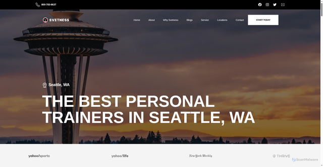 Security scan screenshot of https://www.svetness.com/washington/seattle
