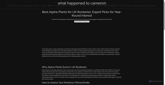 Security scan screenshot of https://lensacerdascorner-dpuv9krdmclz.edgeone.app/alpine-plants-for-rockery-uk.html