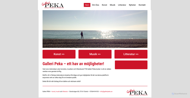 Security scan screenshot of https://galleripeka.se