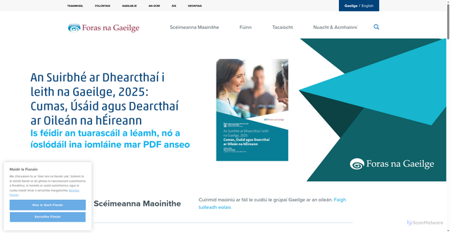 Security scan screenshot of http://www.forasnagaeilge.ie