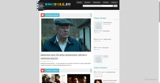 Security scan screenshot of https://kinorole.ru