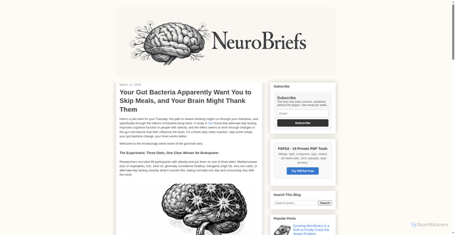 Security scan screenshot of https://neurobriefs.pages.dev/2026/03/your-gut-bacteria-apparently-want-you-to-skip-meal.html