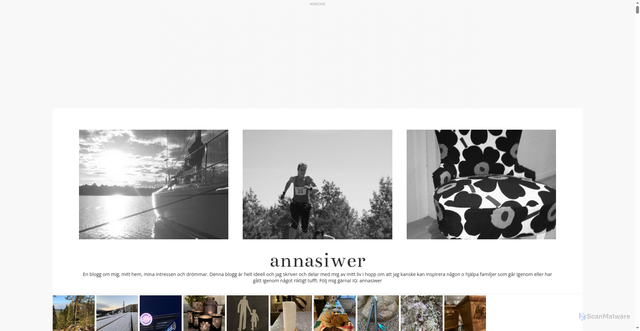 Security scan screenshot of https://annasiwer.se