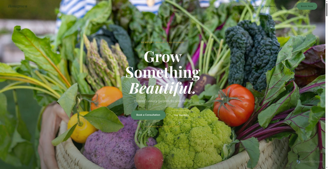 Security scan screenshot of https://homegrown-culinary.pages.dev/