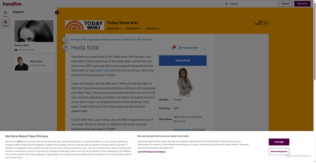 Security scan screenshot of https://todayshow.fandom.com/wiki/Hoda_Kotb
