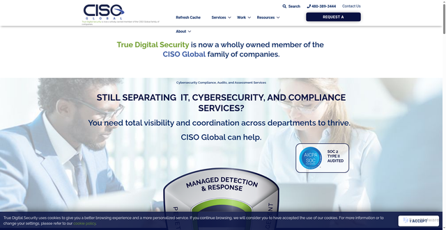 Security scan screenshot of https://truedigitalsecurity.com