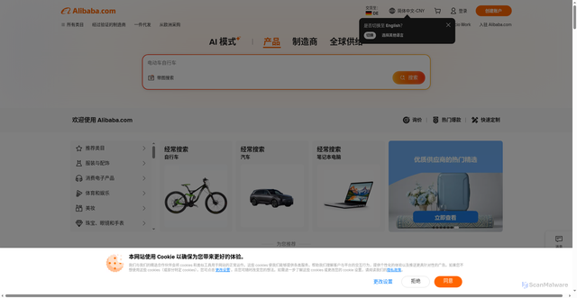Security scan screenshot of https://chinese.alibaba.com