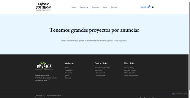 Security scan screenshot of https://celulareslainez.com/cart/