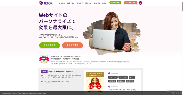 Security scan screenshot of https://tetori.link