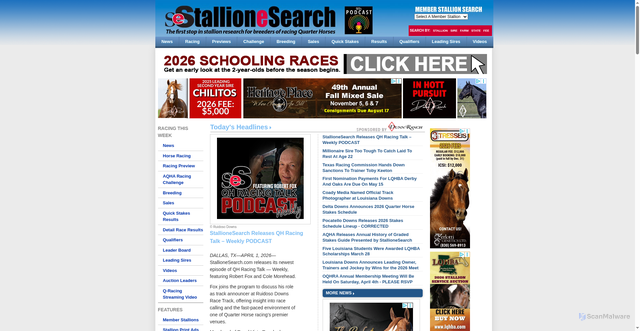 Security scan screenshot of https://www.stallionesearch.com/