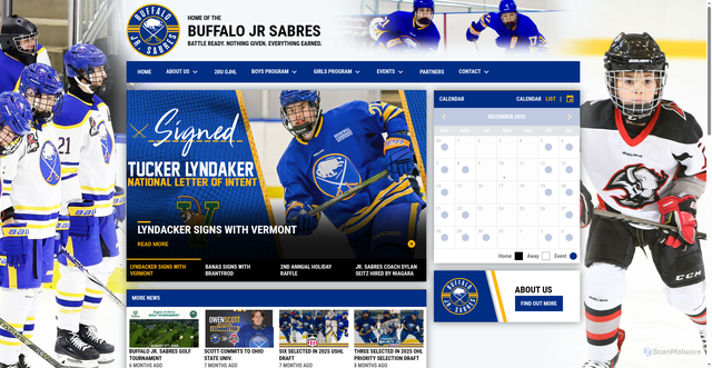 Security scan screenshot of https://www.buffalojuniorsabres.com/