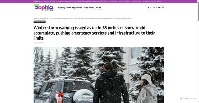 Security scan screenshot of https://www.sophiabistro.com/21-171092-winter-storm-65-inches-bs/