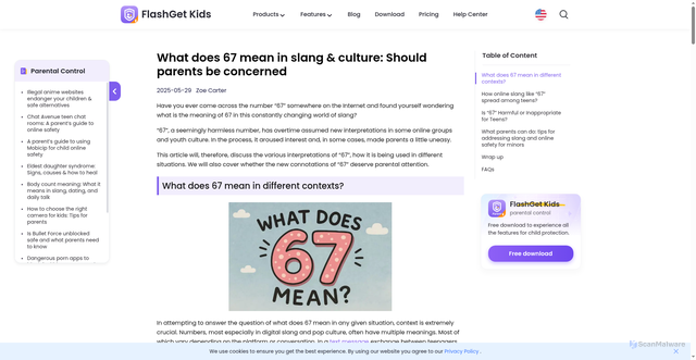 Security scan screenshot of https://parental-control.flashget.com/what-does-67-mean