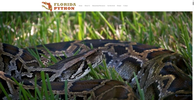 Security scan screenshot of https://floridapython.org/