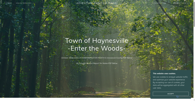 Security scan screenshot of https://haynesvilleme.gov/