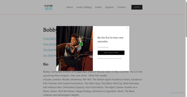 Security scan screenshot of https://playingonair.org/bobby-cannavale