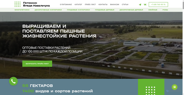 Security scan screenshot of https://pitomnikvlada.ru