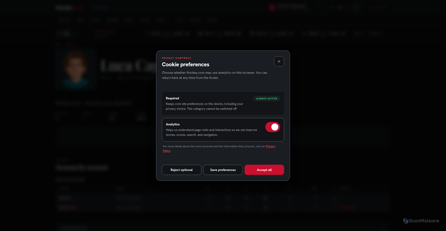 Security scan screenshot of https://www.hockey.com/nhl/players/8484152