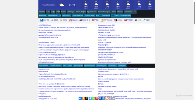 Security scan screenshot of https://www.peterlife.ru