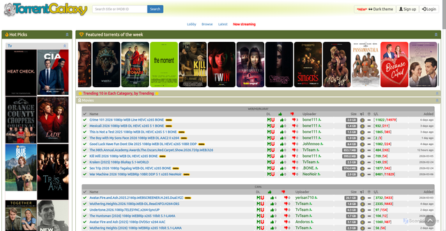 Security scan screenshot of https://torrentgalaxy.one