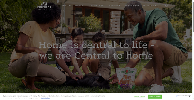 Security scan screenshot of https://www.central.com/