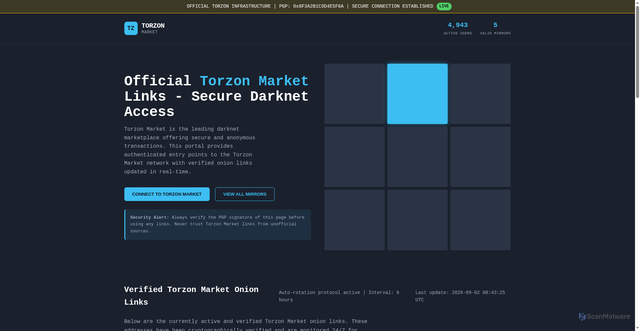 Security scan screenshot of torzon.pics