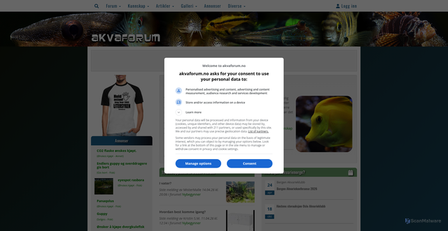 Security scan screenshot of https://akvaforum.no