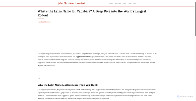Security scan screenshot of https://aksarasantaisphere-dpc9bj3xyvxw.edgeone.app/capybara-latin-name.html