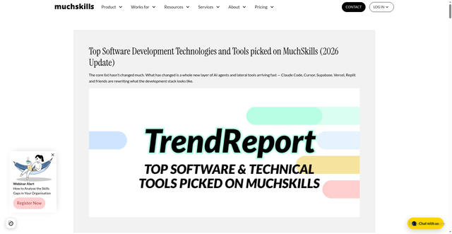 Security scan screenshot of https://www.muchskills.com/blog/top-software-technical-tools-muchskills