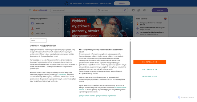 Security scan screenshot of http://allegrolokalnie.pl-smart7369052.sbs