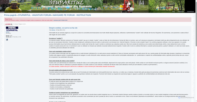 Security scan screenshot of https://forum.stuparitul.com