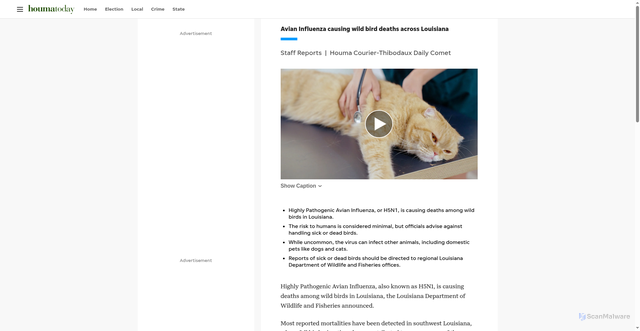 Security scan screenshot of https://www.houmatoday.com/story/news/2025/12/30/avian-influenza-causing-wild-bird-deaths-across-louisiana/87954551007/