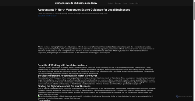 Security scan screenshot of https://nusaglobalmedia-dpnu7q0uqyj5.edgeone.app/accountants-in-north-vancouver.html