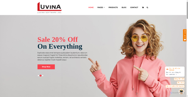 Security scan screenshot of http://demo-luvina.online/