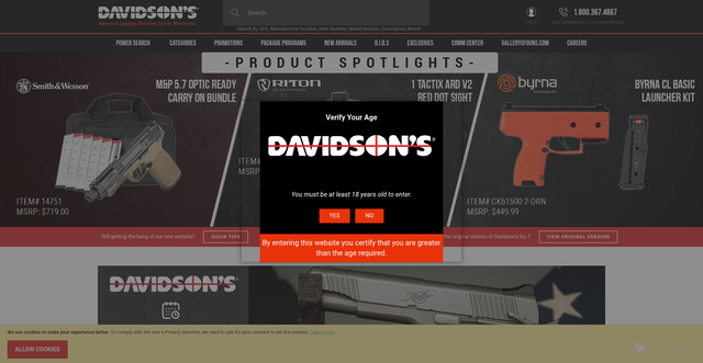 Security scan screenshot of https://www.davidsonsinc.com