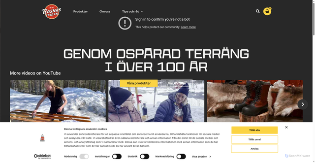 Security scan screenshot of https://www.tegsnasskidan.se/