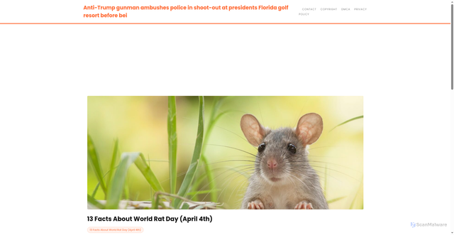 Security scan screenshot of https://ceritamodernstories-dpkbqqgk6sp8.edgeone.app/13-facts-about-world-rat-day-april-4th.html