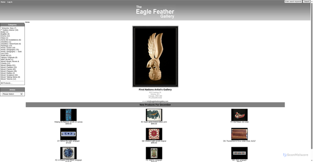Security scan screenshot of https://eaglefeathergallery.com