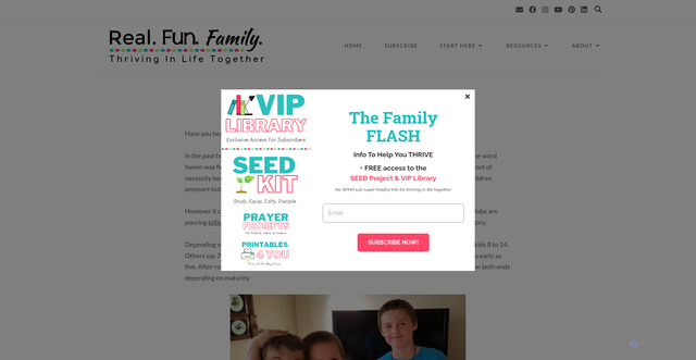 Security scan screenshot of https://realfunfamily.com/what-is-a-tween/