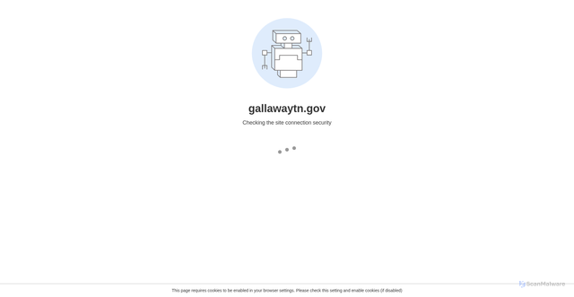 Security scan screenshot of https://gallawaytn.gov/