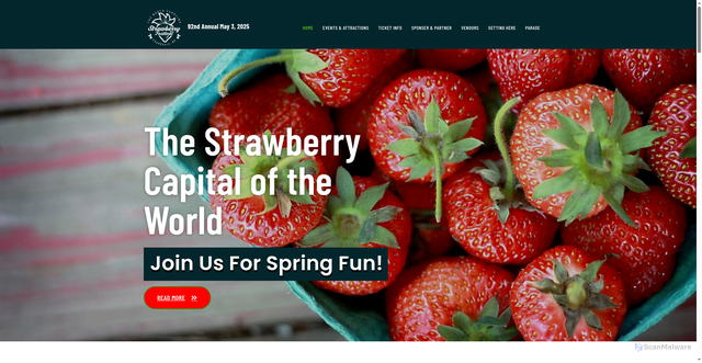 Security scan screenshot of https://ncstrawberryfestival.com/