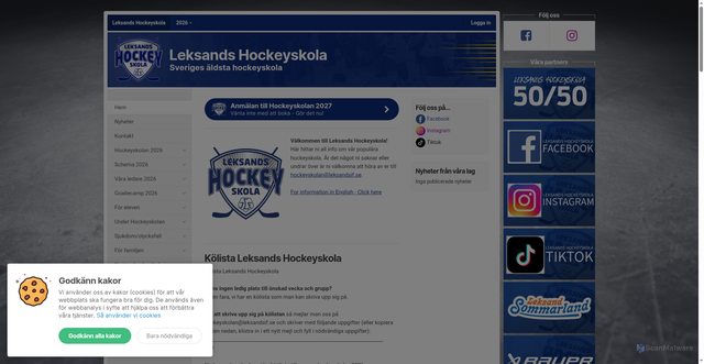 Security scan screenshot of https://hockeyskolan.se