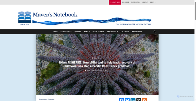 Security scan screenshot of https://mavensnotebook.com/2026/06/27/noaa-fisheries-new-edna-tool-to-help-track-recovery-of-sunflower-sea-star-a-pacific-coast-apex-predator/