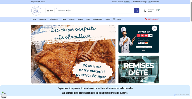 Security scan screenshot of https://www.pro-equipement-chr.com/