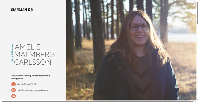 Security scan screenshot of https://ameliemalmbergcarlsson.se